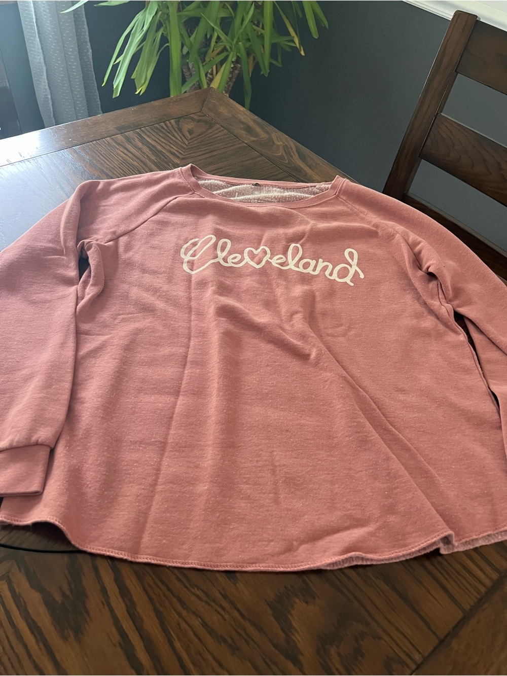 Cleveland Clothing Co. Women's Fleece Crewneck Sweatshirt Pink L Graphic Logo708